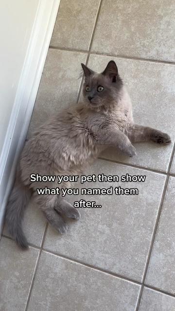 @Stacy Nicole