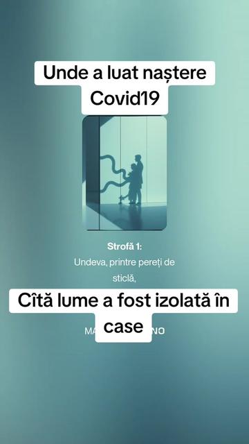 @muzica de calitate