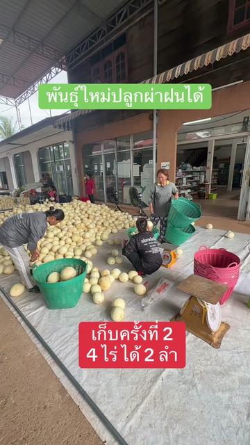 @โจ้ J35