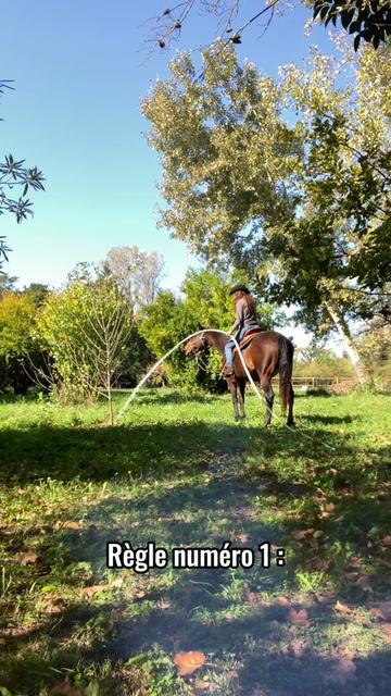 @Horsewoman Trip