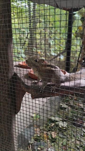 @Isabel212
