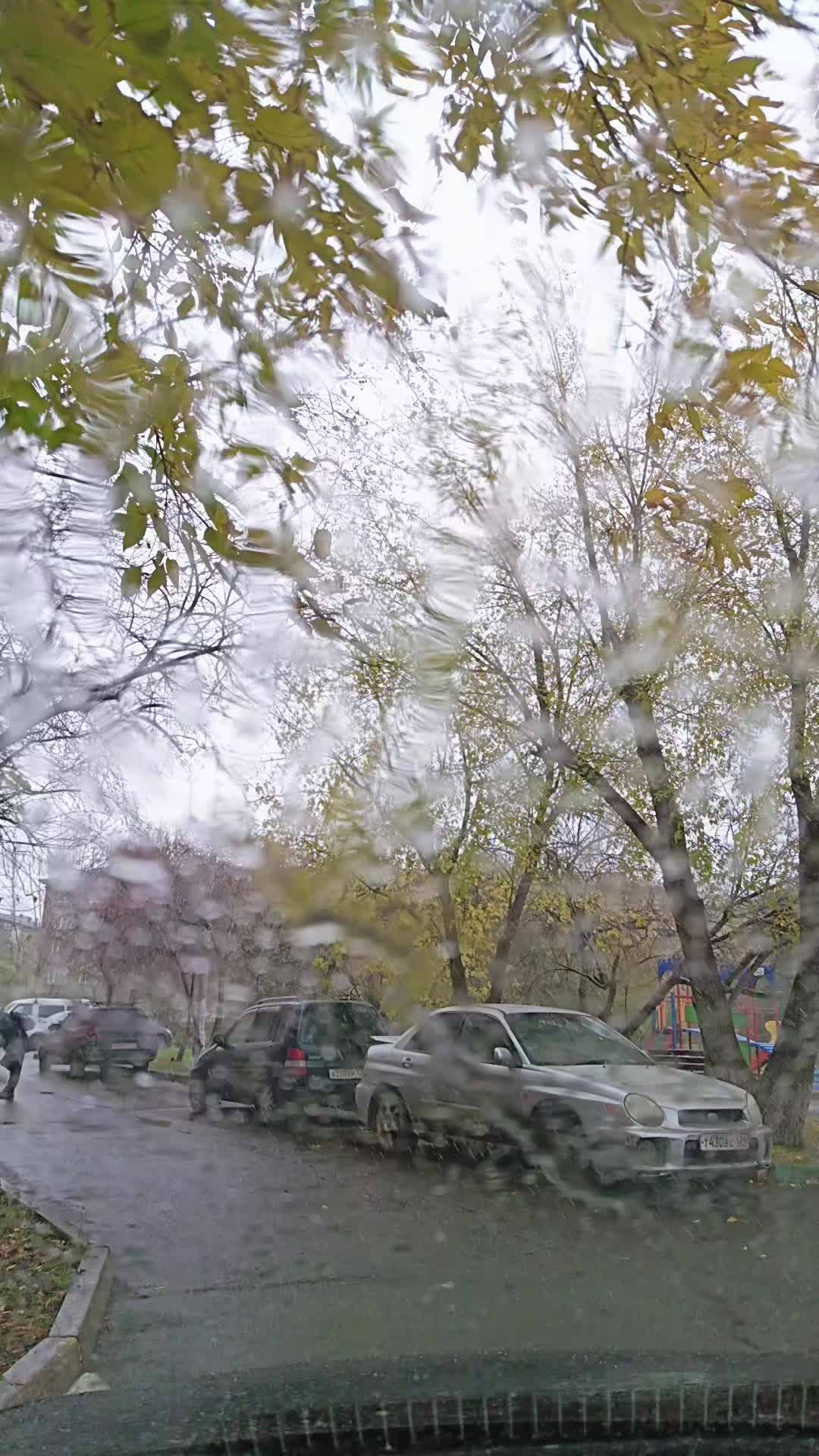 @Директор Тик-ток