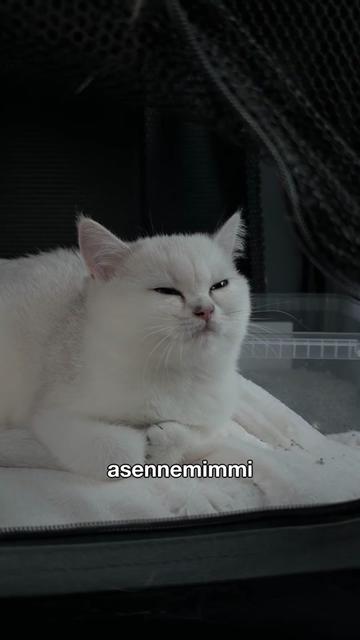 @Teemu Vuorela