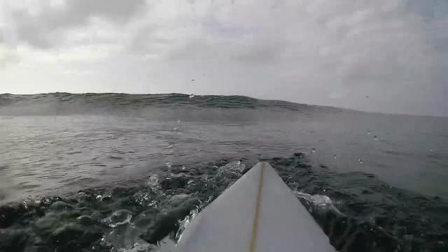 @oscarcc_surfs