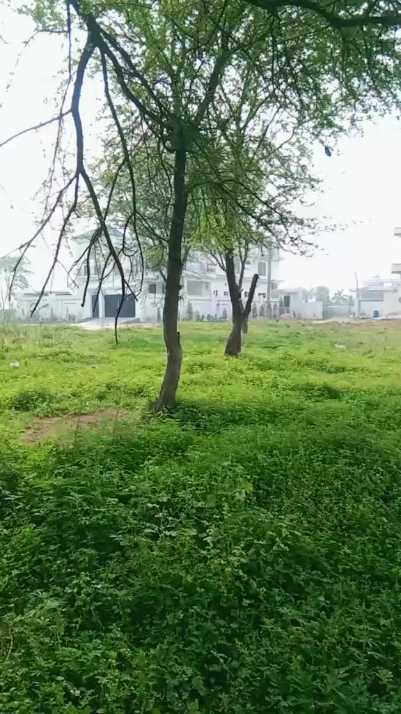 @Musa Bhai 👑