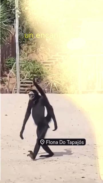 @alejandriguez