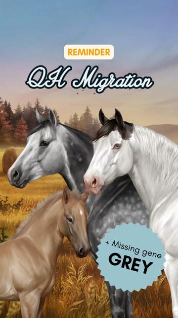 @Horse Reality