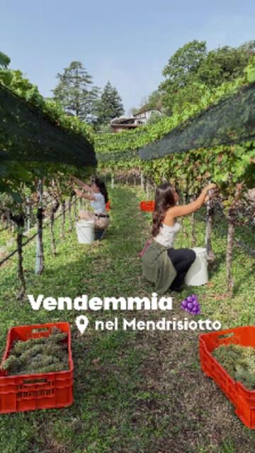 @Ticino Turismo