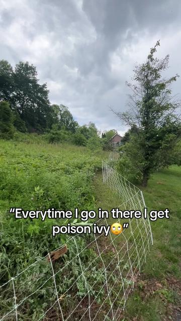 @amazingrazinggoats