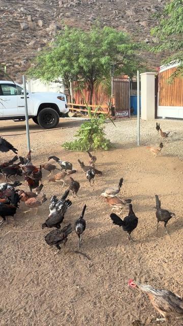 @A.MENDOZA.FARM.USA 74HWY