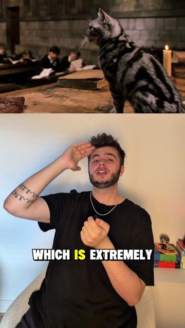 @Zogwarts