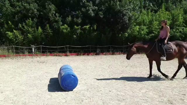 @Horsewoman Trip