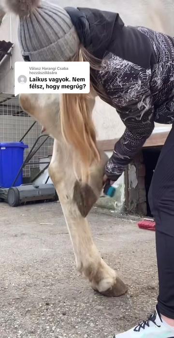 @Emirideer