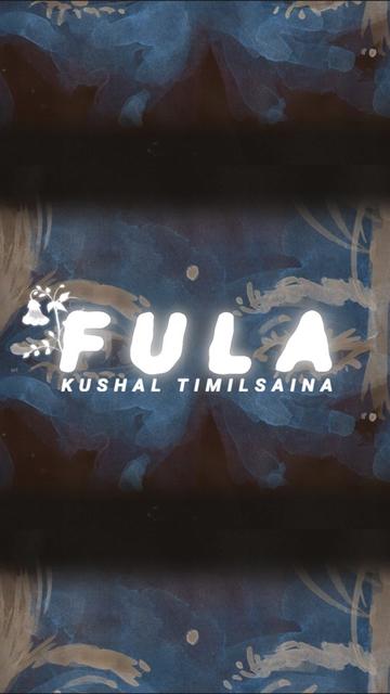 @Kushaltimilsena