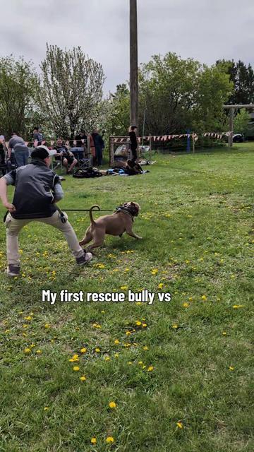 @Kavik.K9