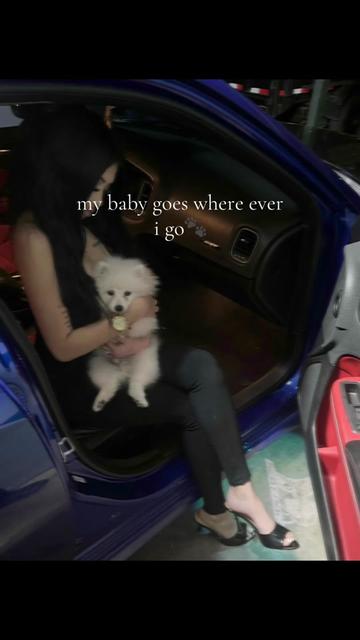 @bonita