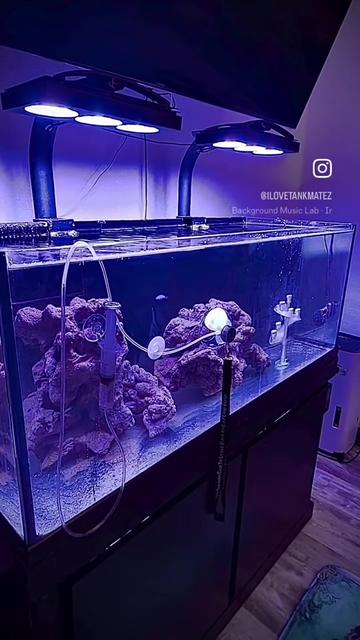@Tankmatez.com USA