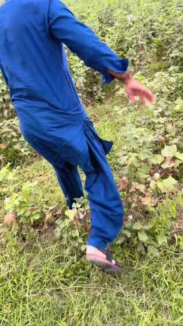 @USAMA KHATAK
