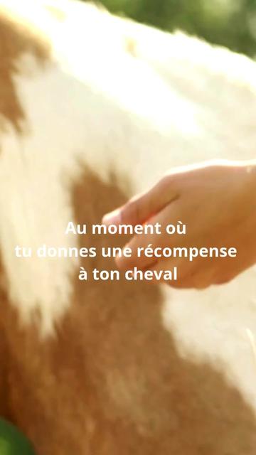 @Horsewoman Trip