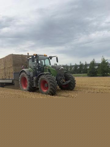 @alexivan9912
