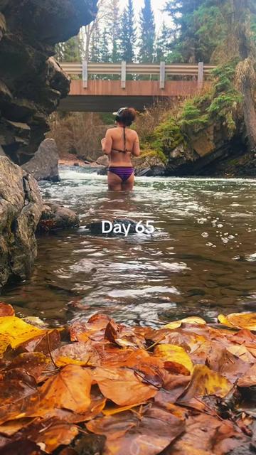 @leandradips