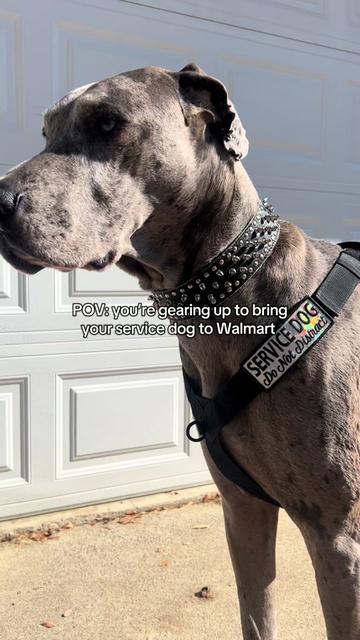 @lex 🐺⛓️
