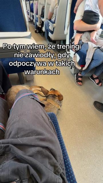 @loleksmolek