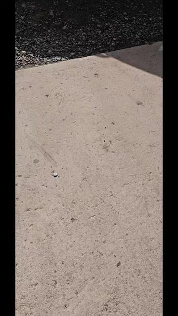 @Slambassador