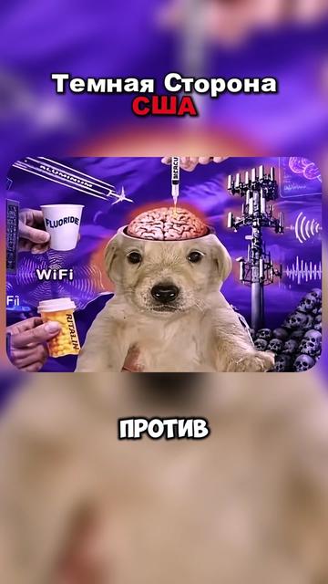 @Фактыч