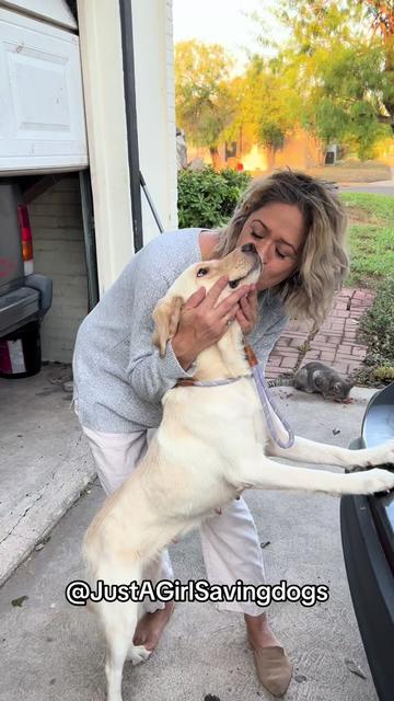 @Just A Girl Saving Dogs