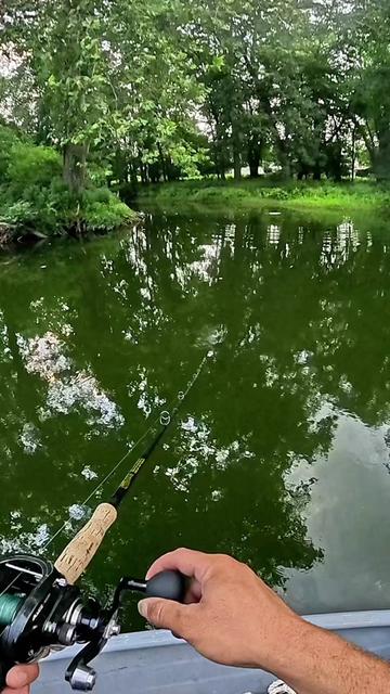 @Dkam Fishing (NJ)