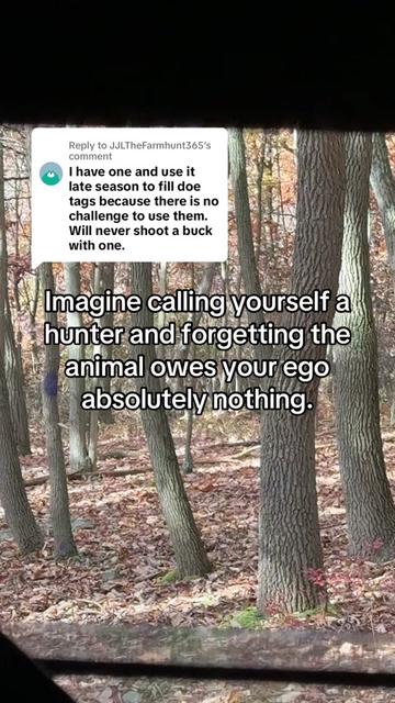 @Lilwolf