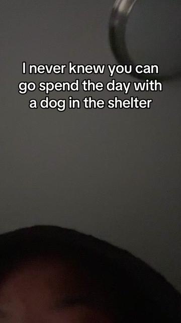 @nytiaamor