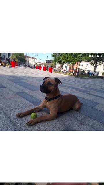 @urgence.annonce