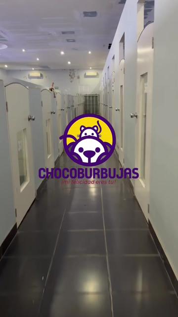 @Chocoburbujas 🐾