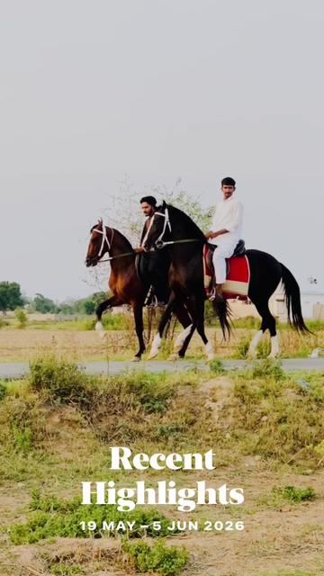 @Ch Hammad bokan ♥️🐎