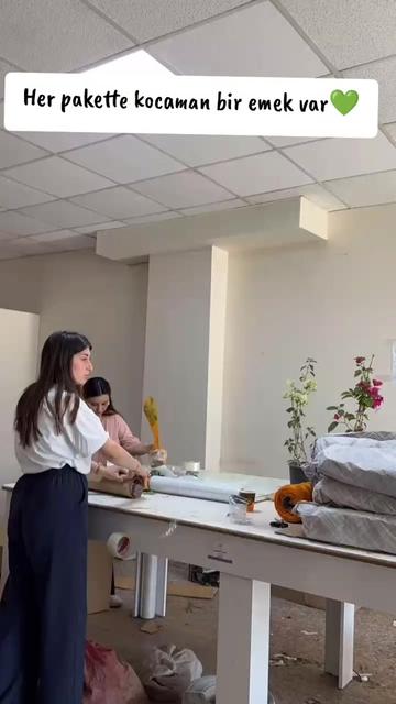 @Lotus bitki satışı