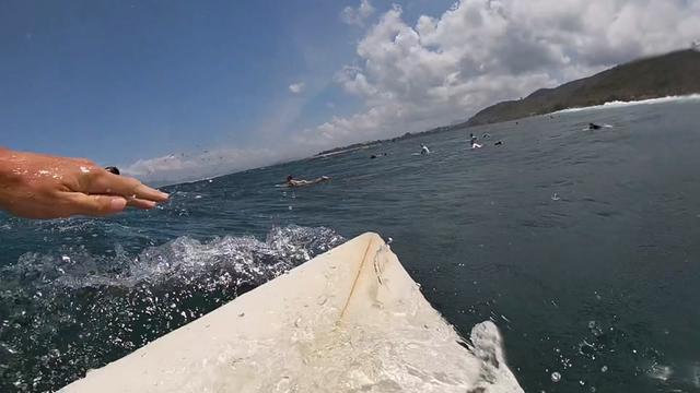 @oscarcc_surfs