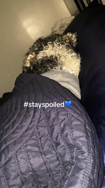 @Radar