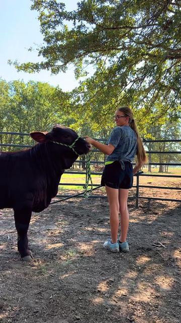 @The V6 Ranch