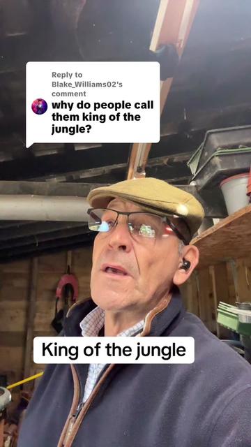 @notmrspock