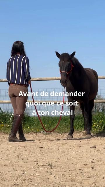 @Horsewoman Trip