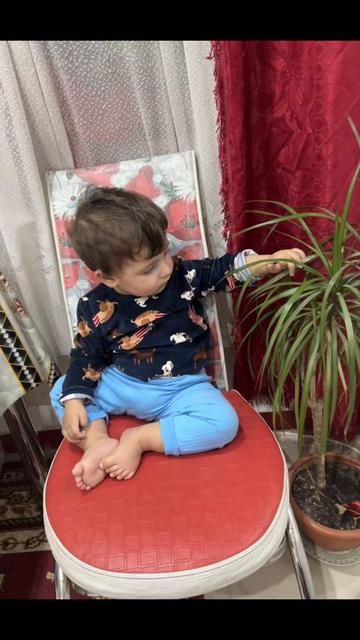 @nico_yanis✨