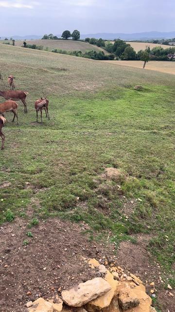 @Muzaffar Kayani