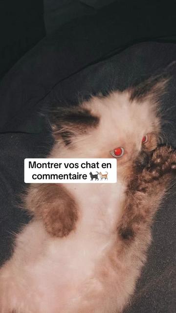@🤩