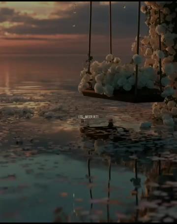 @Its_Meerjat