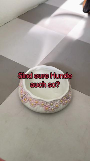 @SausagedogMaja