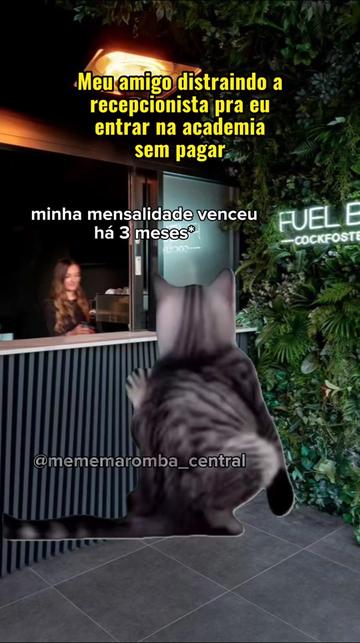 @MMC - Meme Maromba Central