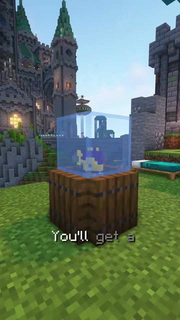@MINECRAFT CLIPS
