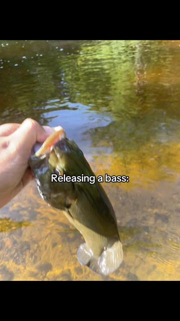 @218 fishing